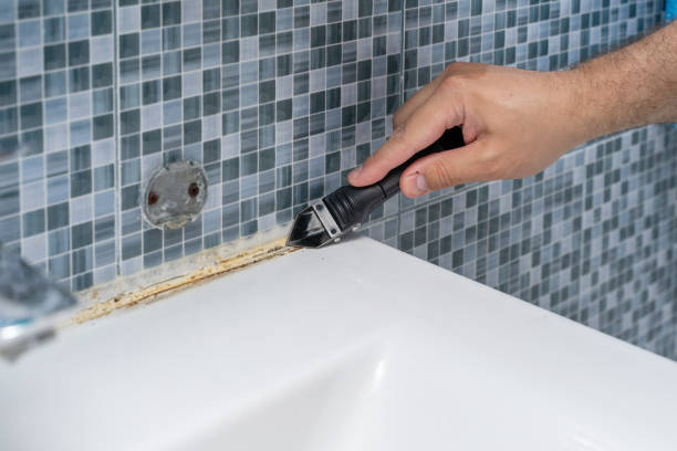 Best Mold Remediation  in Ringgold, GA