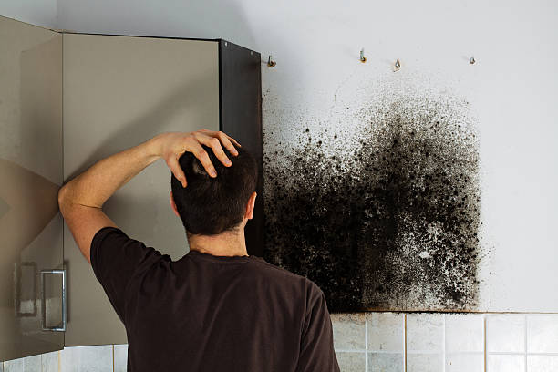 Best Residential Mold Removal  in Ringgold, GA